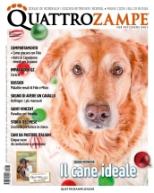 quattrozampe